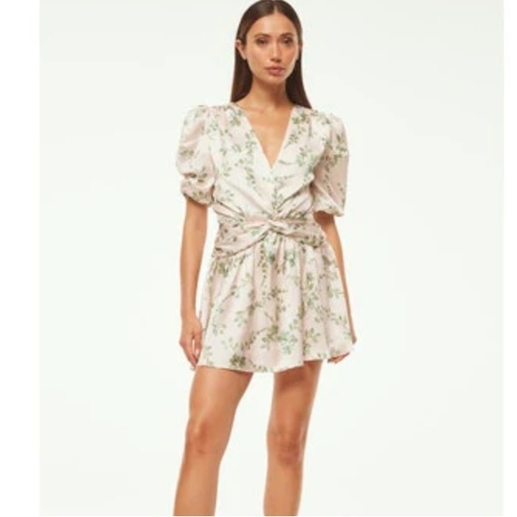 Misa Narcissa Dress - Picture 2 of 2